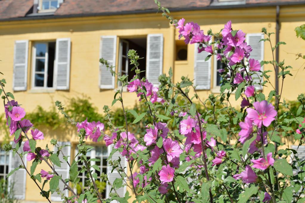 Charmilles Des Cordeliers Bed & Breakfast Paris Exterior photo